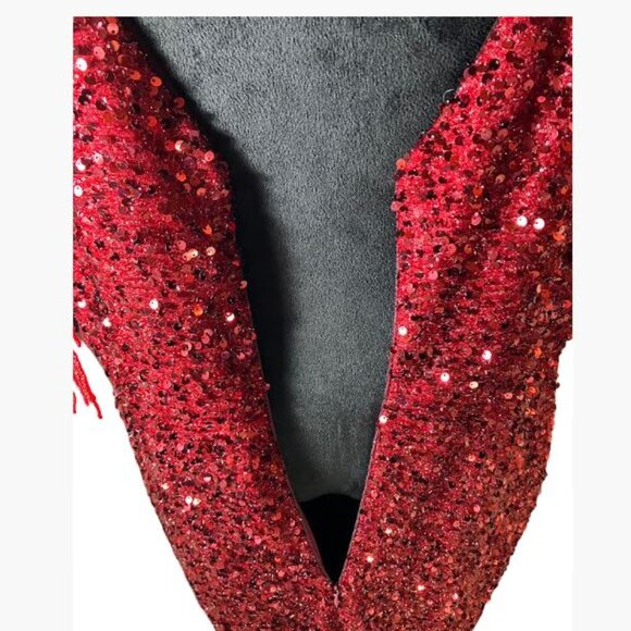 Unbranded Red Sequin Gown with V-Neck Illusion Front and V-Neck Back Size 18 EUC - Picture 5 of 13